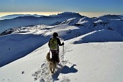 Pizzo Baciamorti e Monte Aralalta, ammantati di neve, con giro ad anello da Capo Foppa di Pizzino il 30 dic. 2019 - FOTOGALLERY